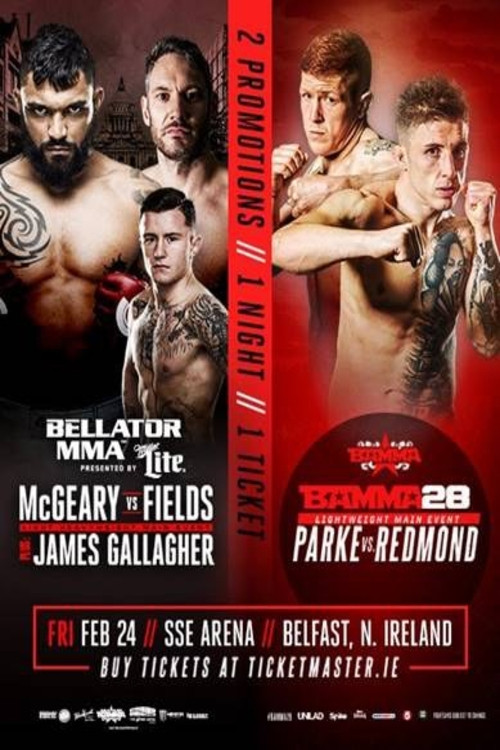 Bellator 173: McGeary vs. McDermott (2017) poster