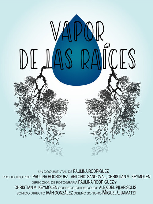 Vapor de las raíces (2020) poster