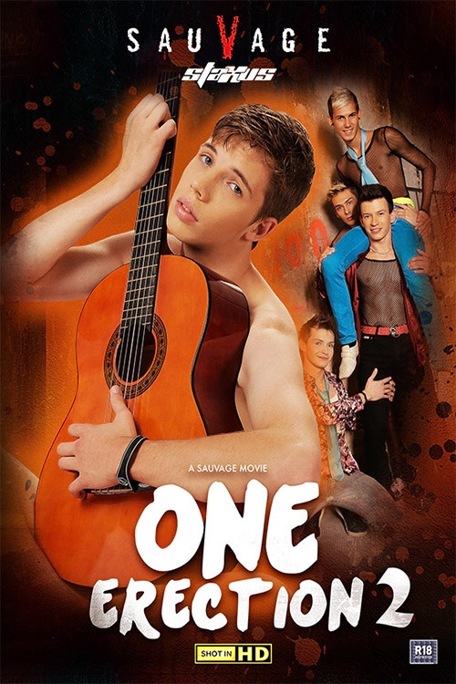 One Erection 2 (2014) poster