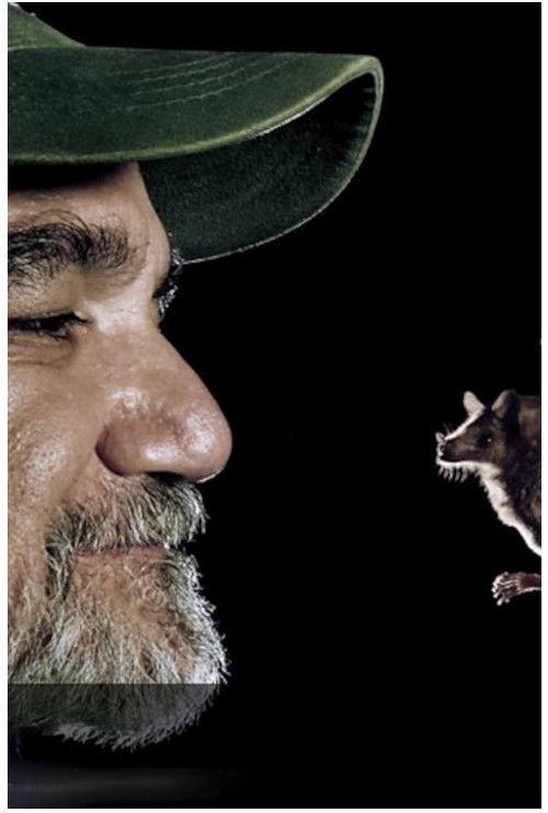 The Bat Man of Mexico (2014) poster