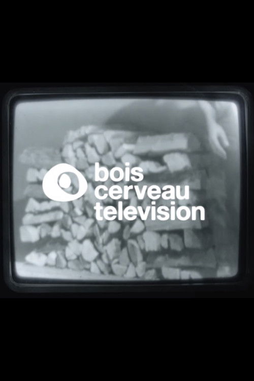 BOIS CERVEAU TV (1) (2020) poster