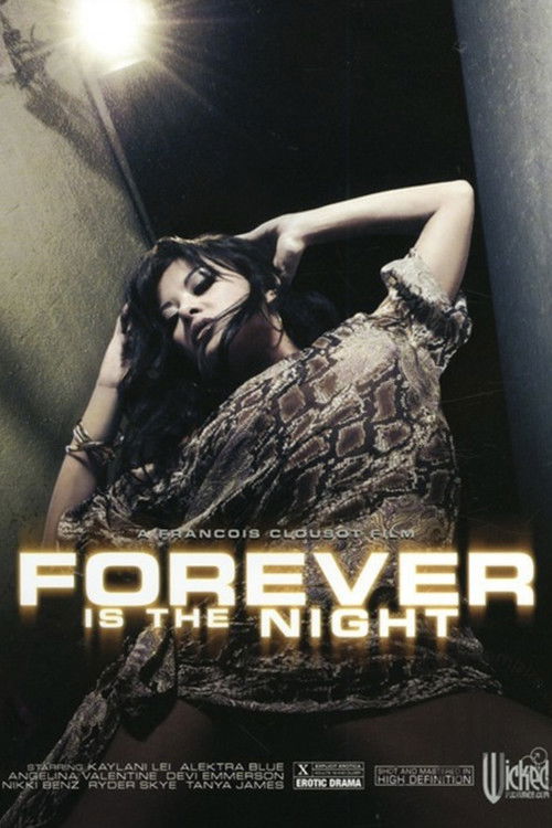 Forever Is the Night (2009) poster