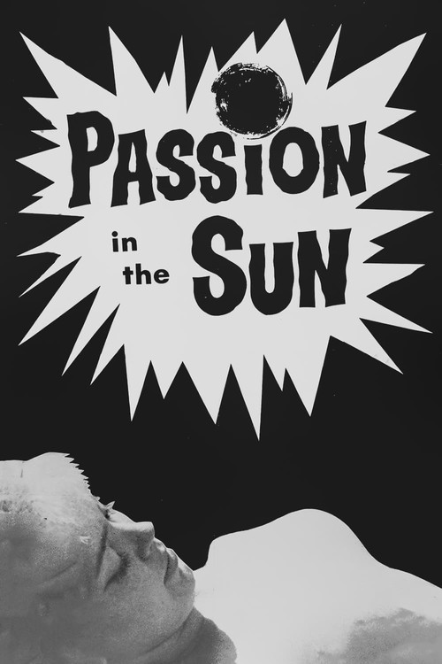 Passion in the Sun (1964) poster