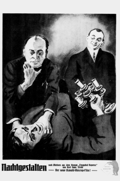 Figures of the Night (1920) poster