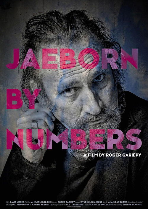 Jaeborn By Numbers (2019) poster