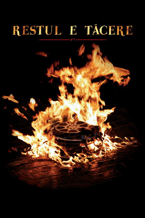 Sonrası Sessizlik (2008) poster