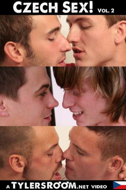 Czech Sex 2 (2010) poster