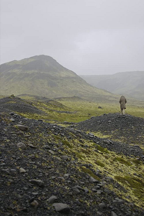 Babybird, Unborn (2011) poster