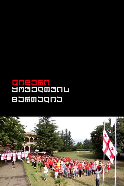 The Leader is Always Right (2010) poster