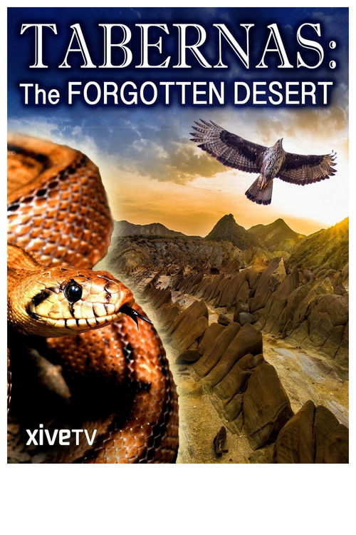 Tabernas: The Forgotten Desert (2010) poster