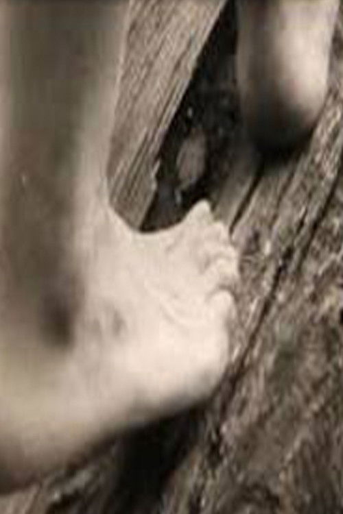 100 Foot Steps (2014) poster