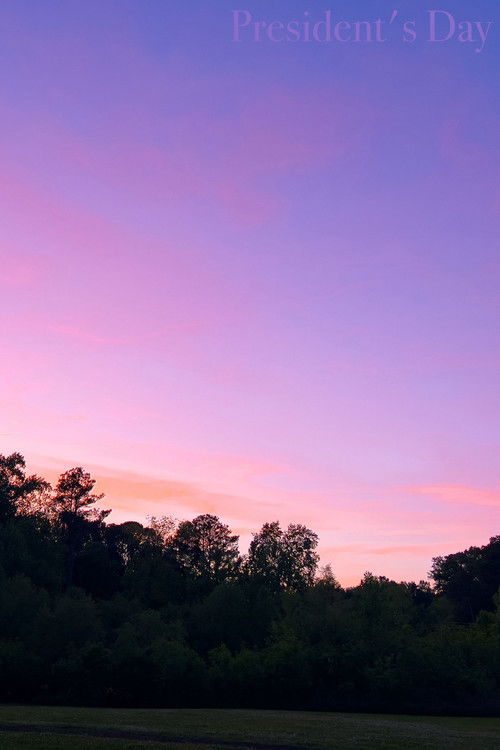 President's Day (2024) poster