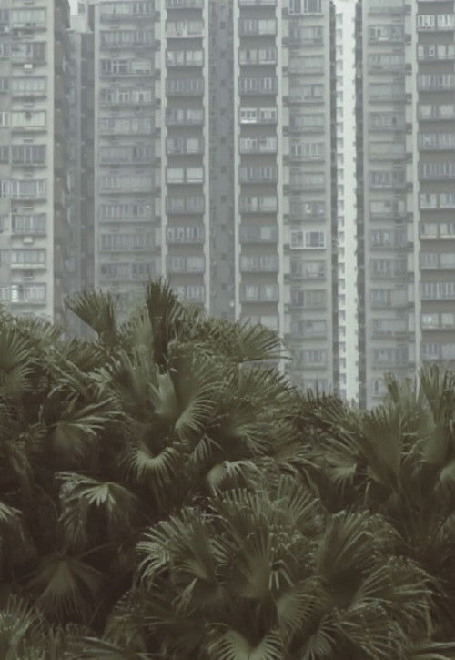 South Horizons (2015) poster