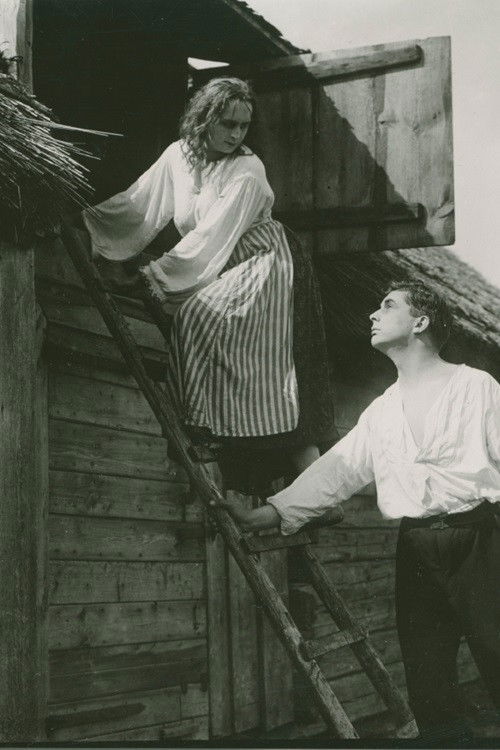 Minlotsen (1915) poster