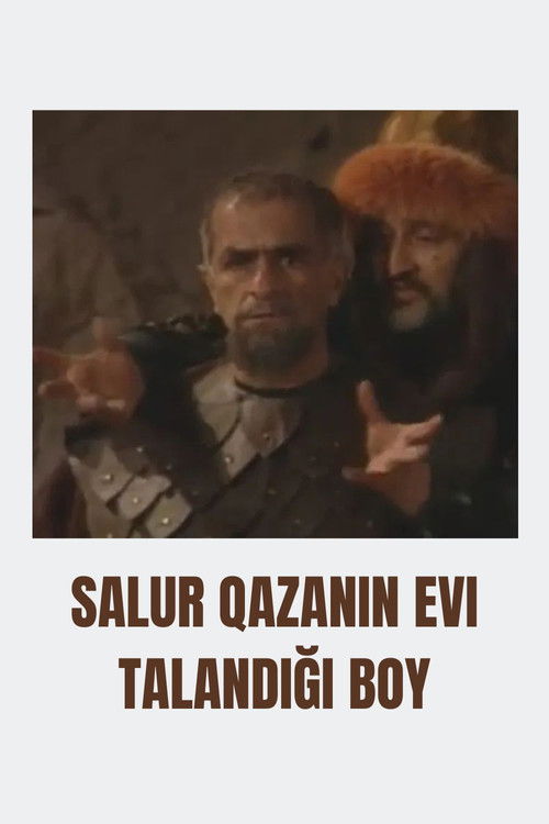 Salur Qazanın evi talandığı boy (2001) poster