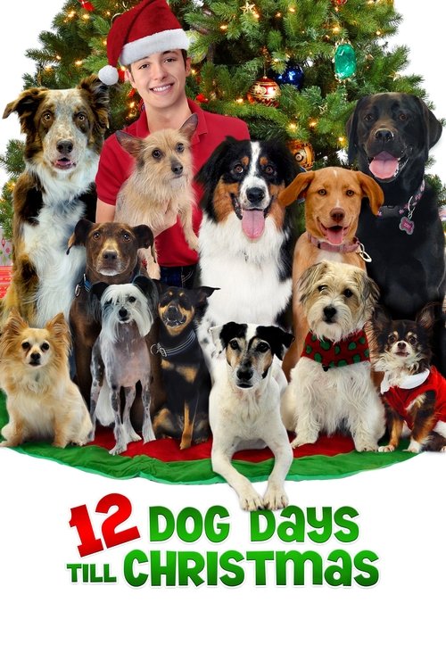 12 Dog Days Till Christmas (2014) poster