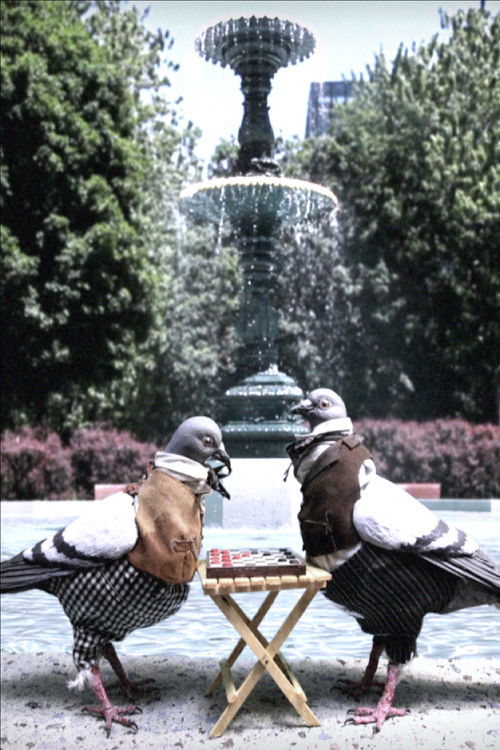 Saint-Louis Square (2017) poster