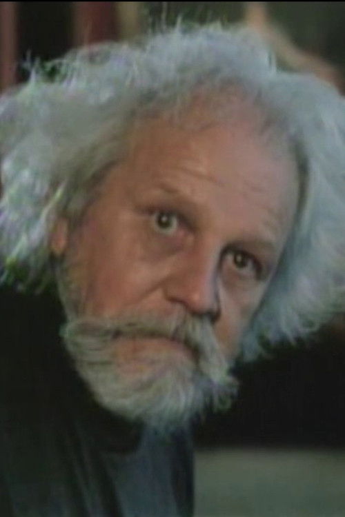 Em Busca de Curitiba Perdida (2008) poster