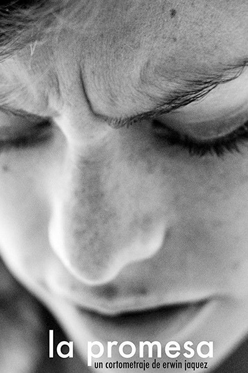 The Promise (2011) poster