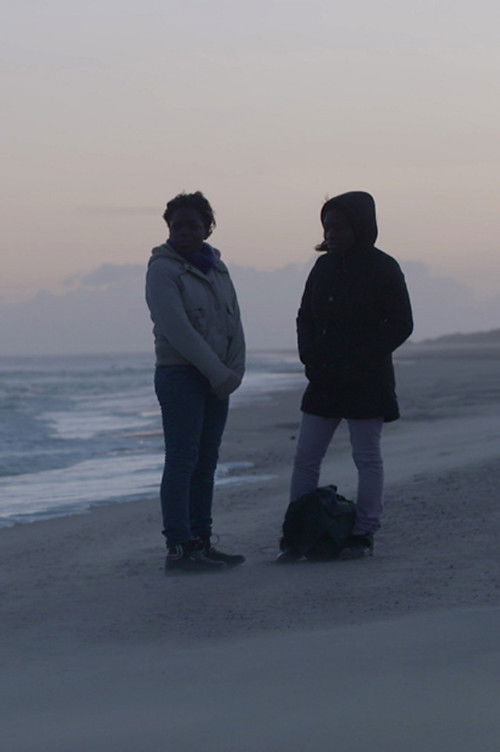 Missing Stories (2014) poster