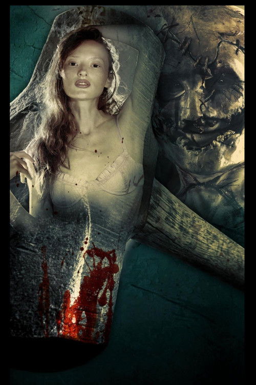 Only Fans - Allowed (2025) poster