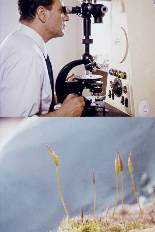 Un pequeño colonizador verde (1968) poster