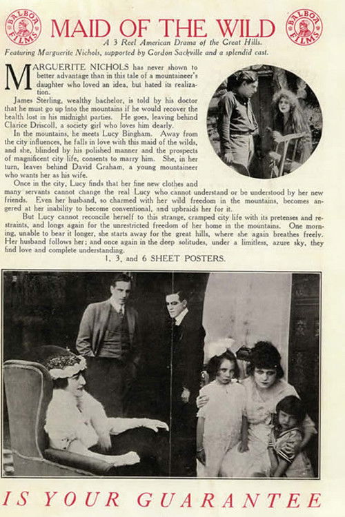 The Maid of the Wild (1915) poster