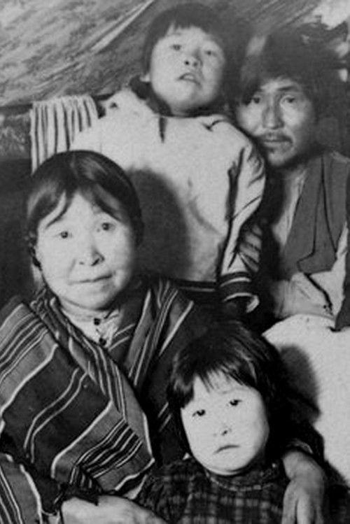 Labrador North (1973) poster