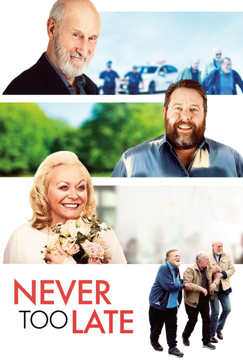 Never Too Late (2020) poster