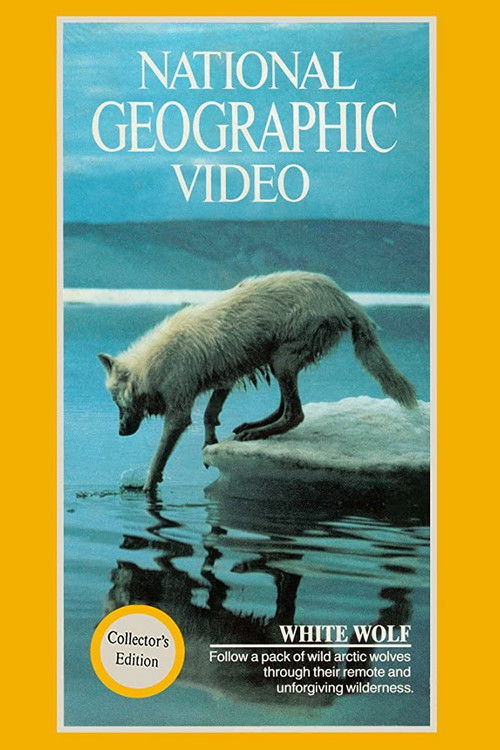 National Geographic: White Wolf (1988) poster