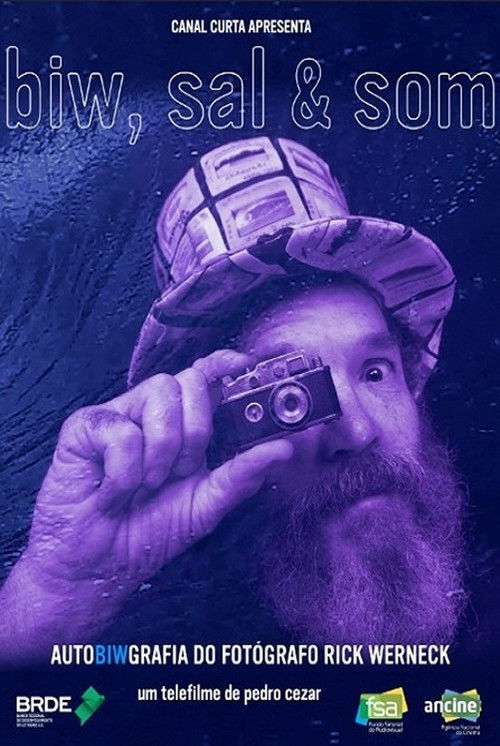 BIW, Sal e Som (2019) poster