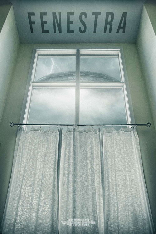 Fenestra (2020) poster