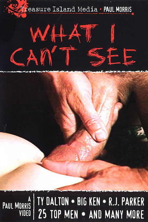 What I Can't See (1999) poster