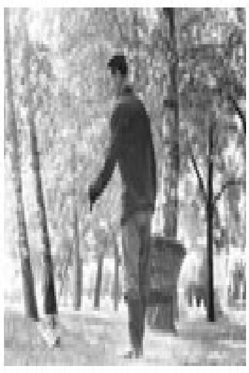 Весници, весници (1965) poster