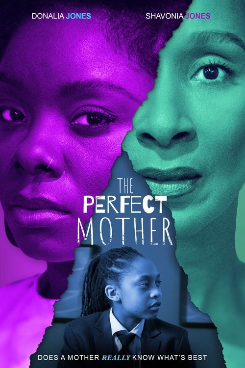 The Perfect Mother (2024) poster