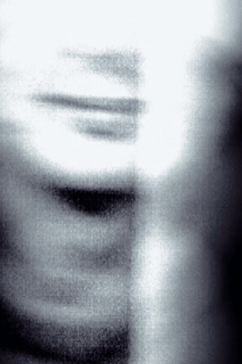 PASSAGES (2003) poster