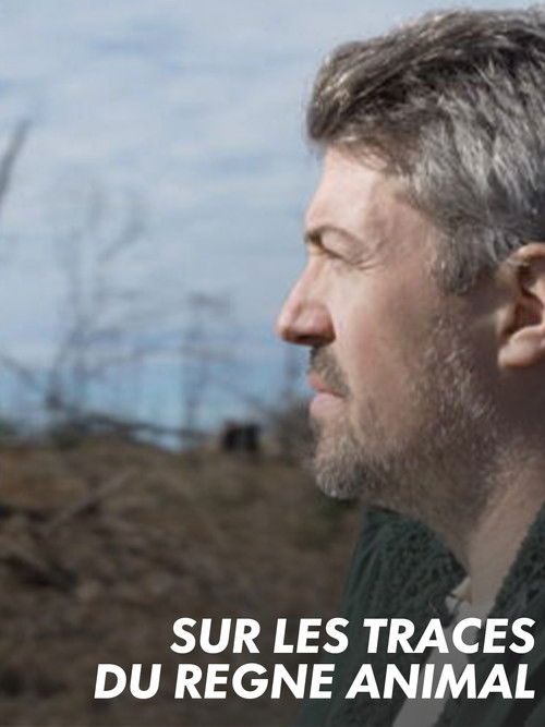 Sur les traces du règne animal (2024) poster