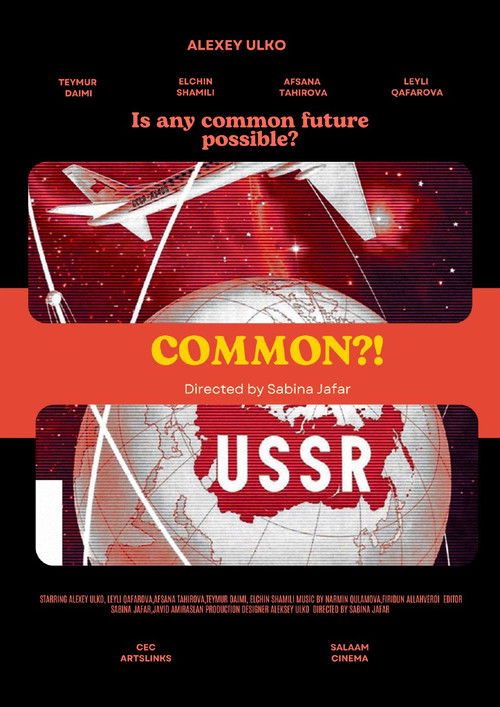 COMMON?! (2024) poster