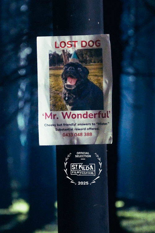 Mr. Wonderful poster