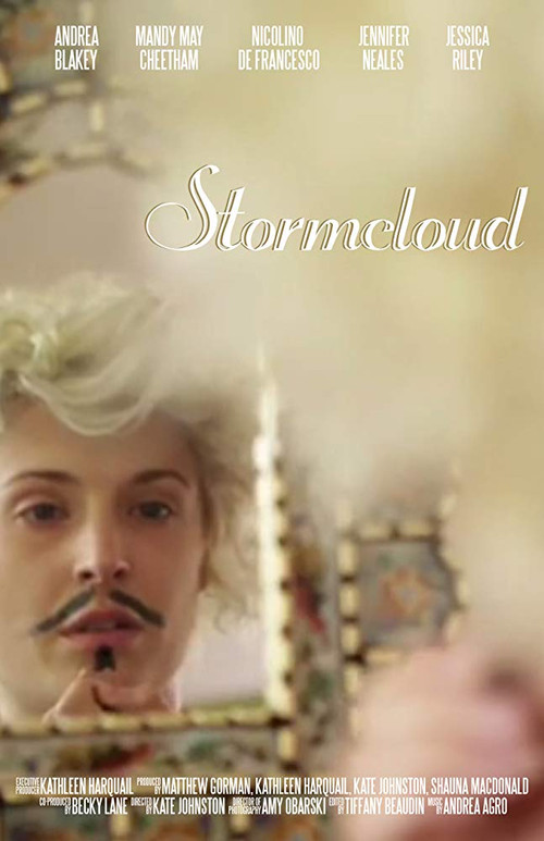 Stormcloud (2013) poster
