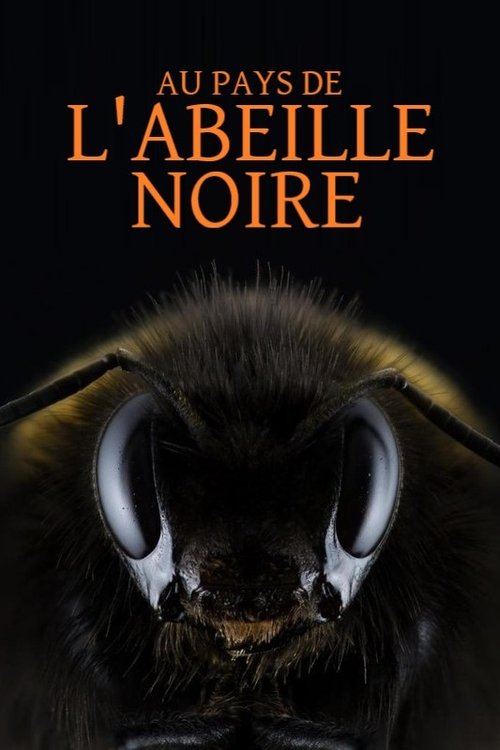 Au pays de l'abeille noire (2023) poster