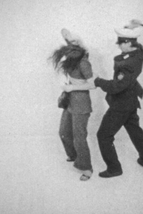 Maulwürfe der Revolution (1969) poster