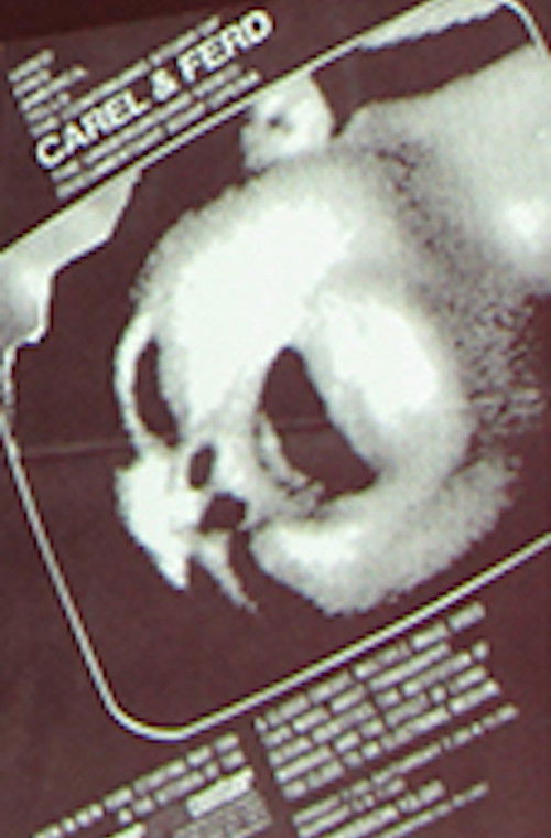 The Continuing Story of Carel and Ferd (1975) poster