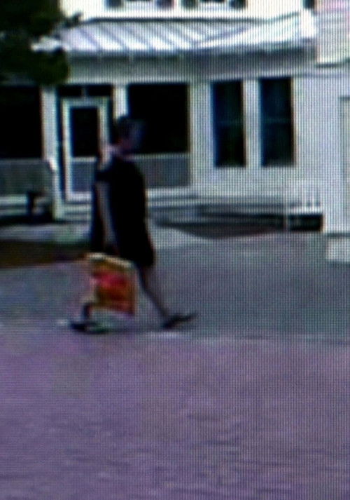 Holding Still (2010) poster