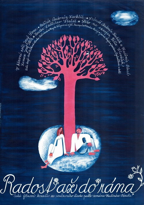 Radost až do rána (1979) poster