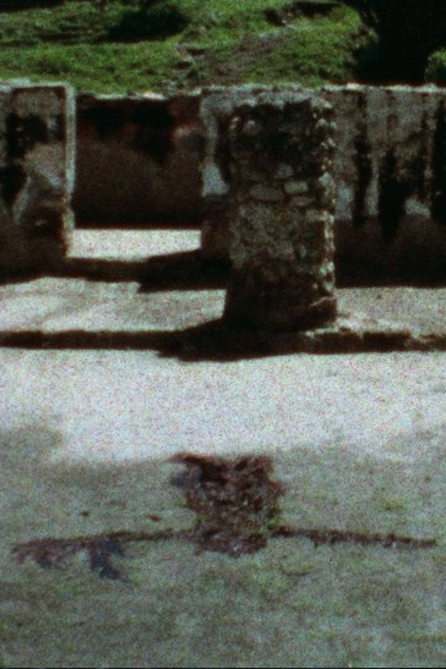Silueta del Laberinto (Laberinth Blood Imprint) (1974) poster