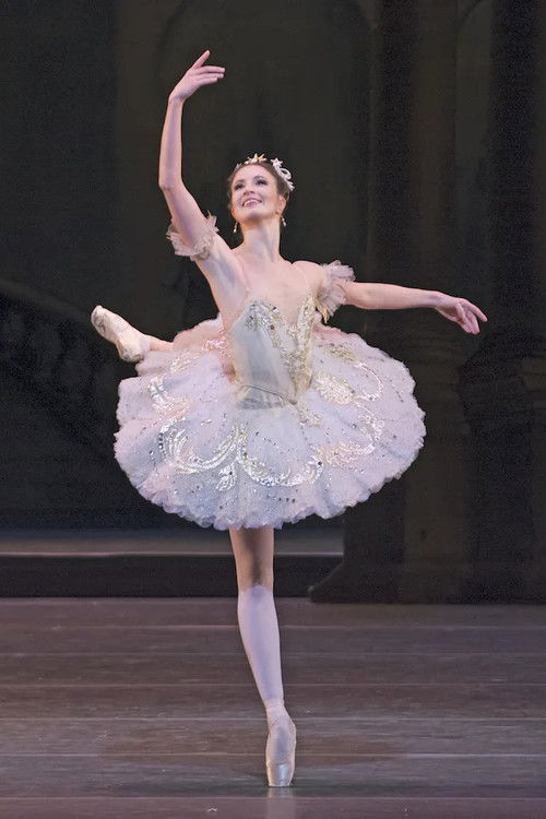 The Sleeping Beauty (2011) poster