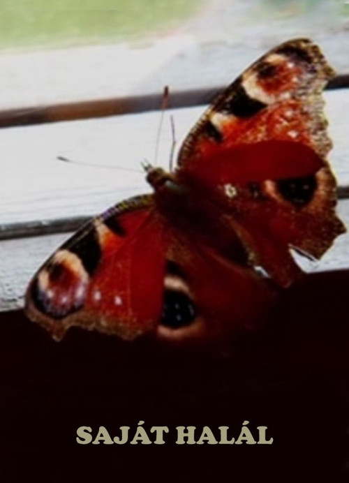 Own Death (2008) poster