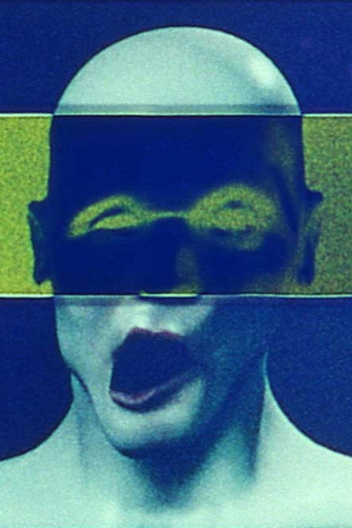 Now I Want to Laugh (2014) poster