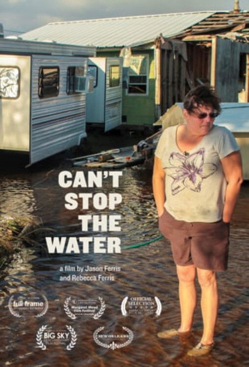 Can't Stop the Water (2013) poster